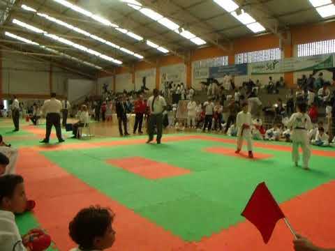 No Brasília Open Content Found in Key Tennis Sources